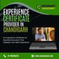 Experience Letter Documentation Support In Chandigarh