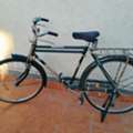 Indina Bicycle