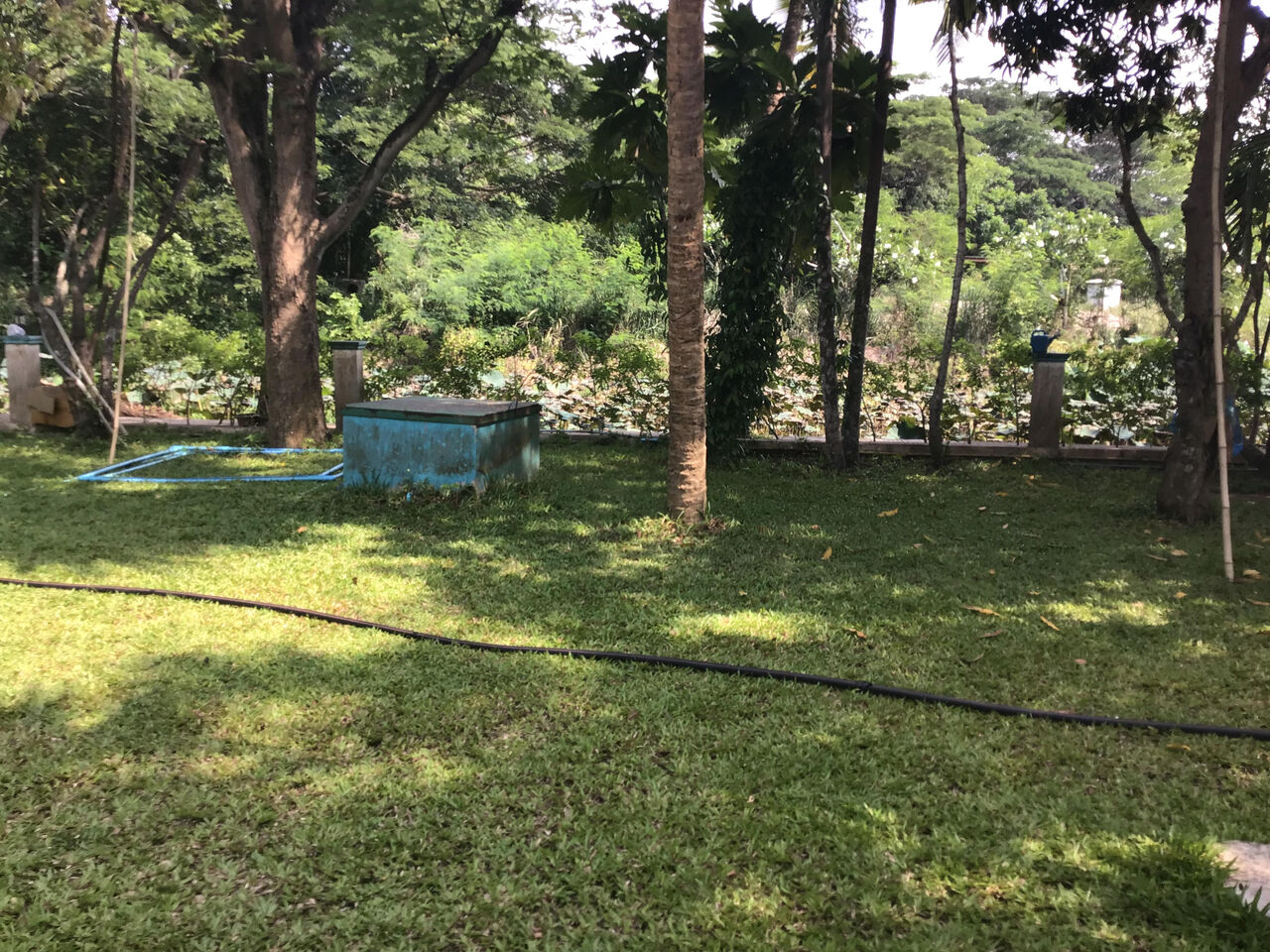 Bangkok, Real Estate For Sale, THB 75000000,  6 BR,  4856 Sq. Meter,  DISCOUNTED RESORT SALE BAN AMPHUR, PATTAYA