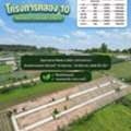THB 590000,  6 BR,  100 Sq. Feet,  มีงบ 590,000 บาท ได้ที่ดิน 100 ตร.ว. เอาไปทำอะ