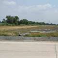 THB 7200000,  6 BR,  16262 Sq. Feet,  ขายที่ดินแปลงสวย 40 -2-62 ไร่ ซอยบึงขวาง 3 
