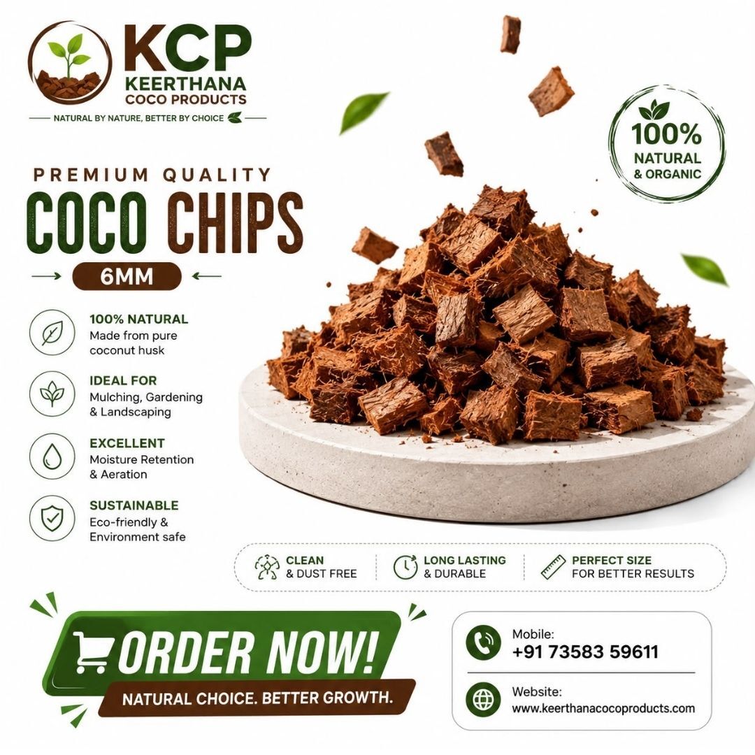 Madurai, Farm/Garden, Coco Chips Supplier In Madurai