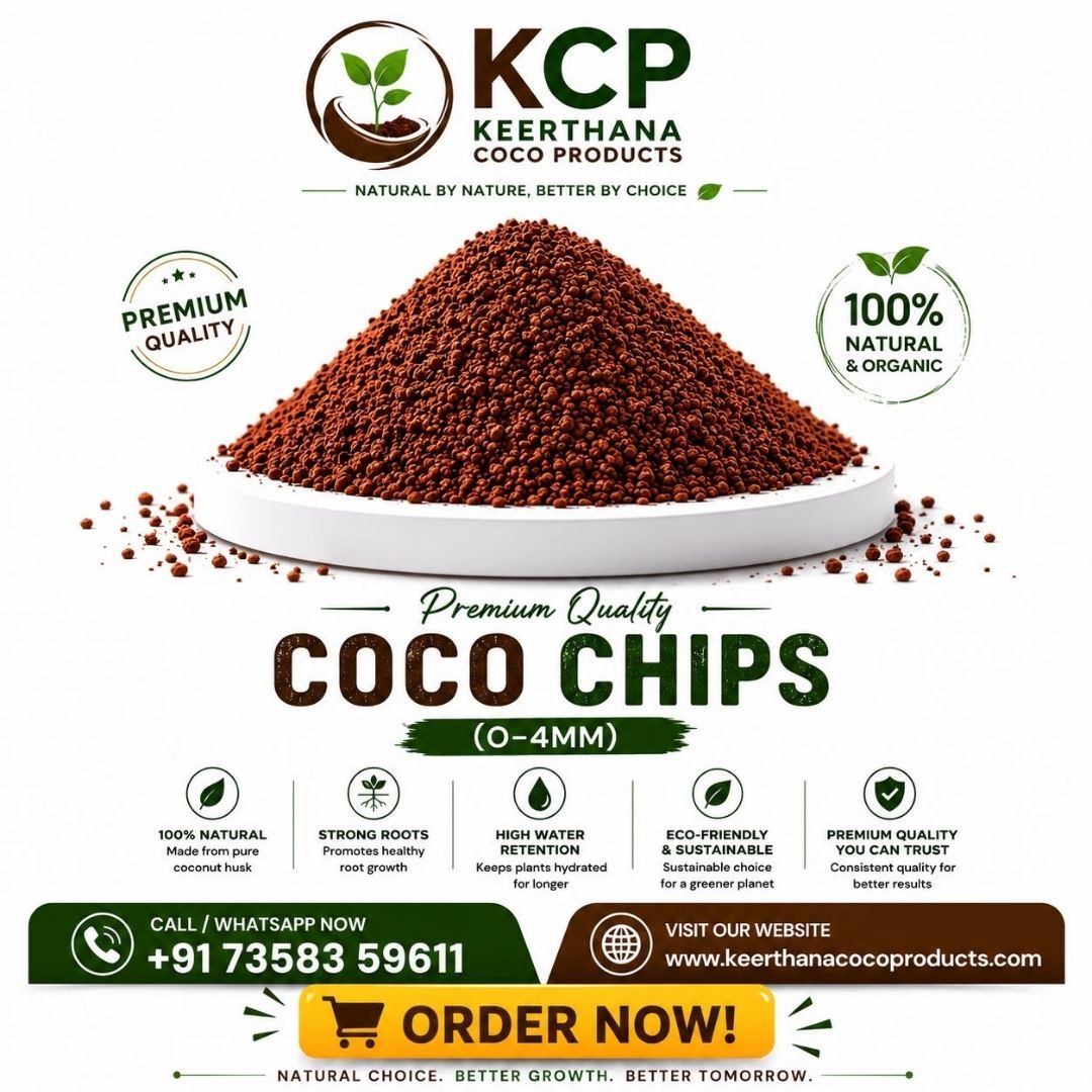 Madurai, Farm/Garden, Coco Chips Supplier In Madurai