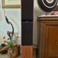 SAR 2000,  Home Theater Receiver, Tower Speakers & Stereo Pre & Power Amplifiers