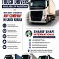 Heavy Trailer Truck Driver