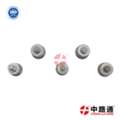 CNY 13,  Fuel Pump Cam Plate 1466110609