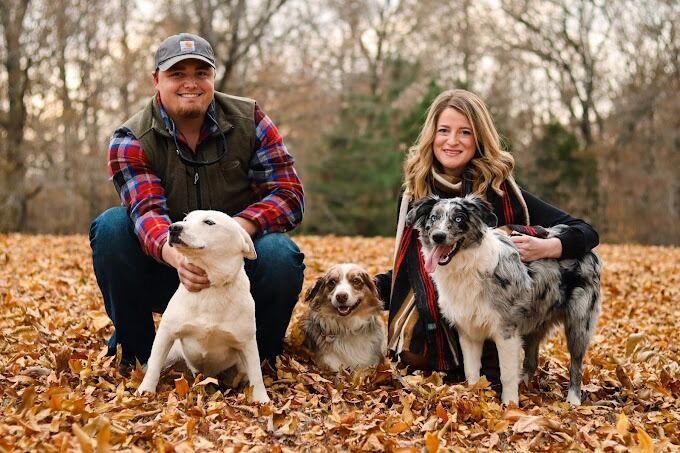 New York, Pet Sitting, Book An Appointment At The Best Vet Clinic In Water Valley MS