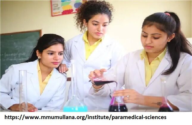 Haryana, Education, Paramedical Institute In India