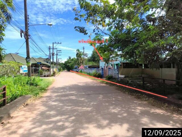 Bangkok, Real Estate For Sale, THB 19897000,  6 BR,  3900 Sq. Feet,  ขายโรงงาน ชุมพร  ถนน สายปากคลอง ตำบ