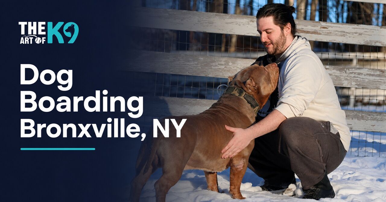 New York, Training, Dog Boarding Bronxville, NY