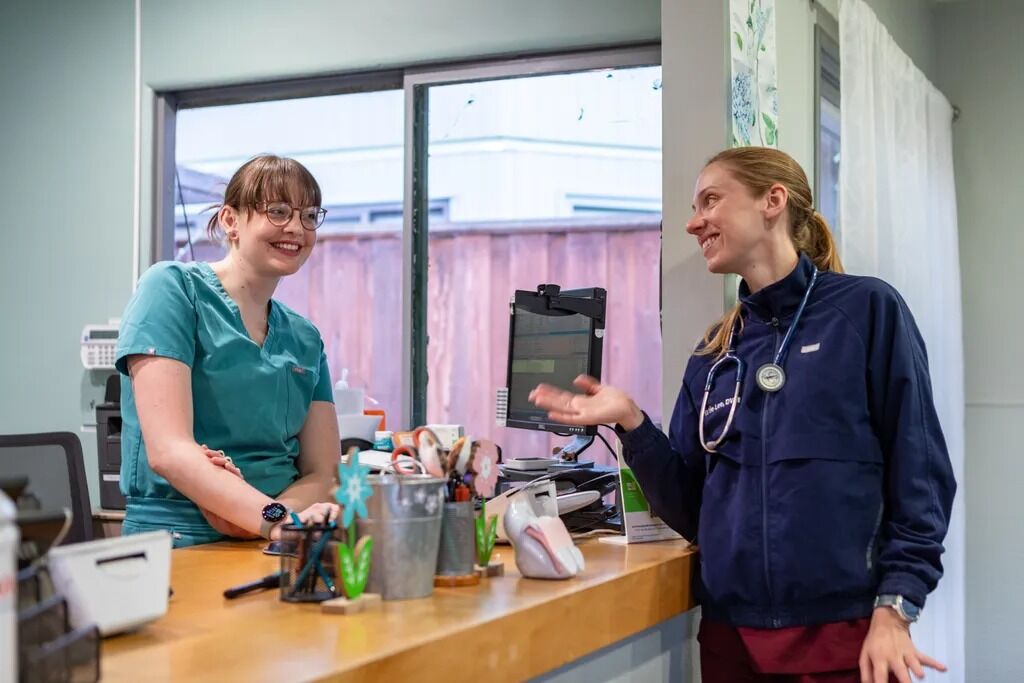 New York, Pet Sitting, Campus Veterinary Clinic