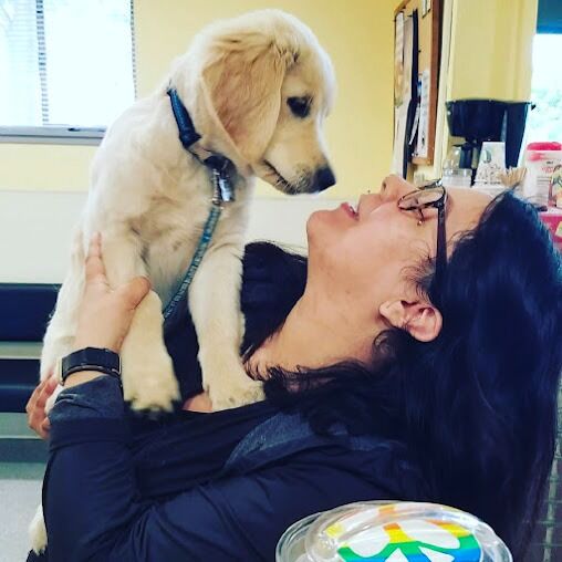 New York, Pet Sitting, Campus Veterinary Clinic