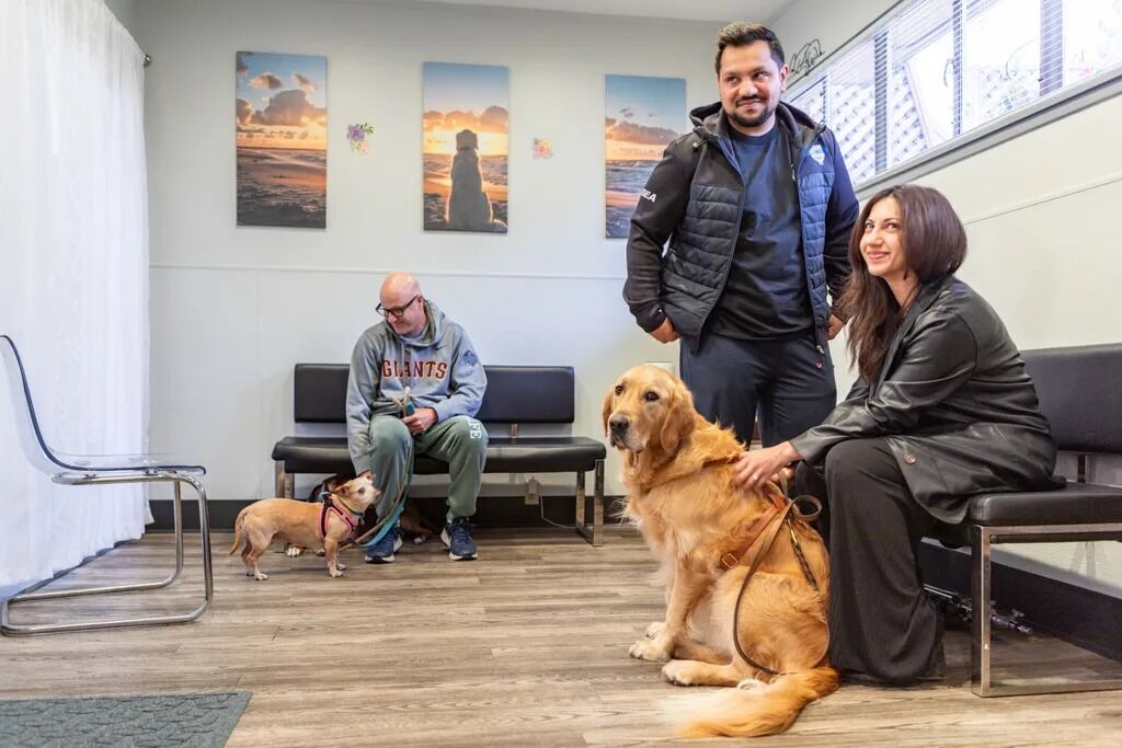 New York, Pet Sitting, Campus Veterinary Clinic
