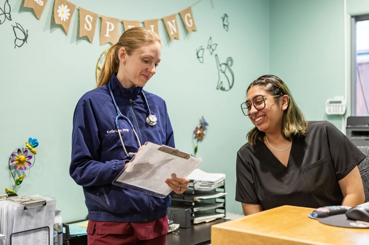 New York, Pet Sitting, Campus Veterinary Clinic
