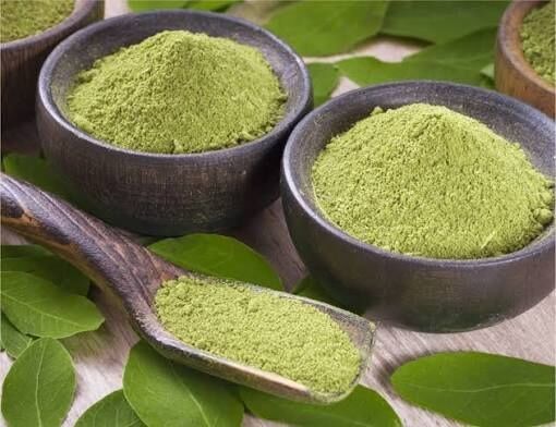 Ahmedabad, Food, Moringa Powder Suppliers In Gujarat