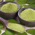 Moringa Powder Suppliers In Gujarat