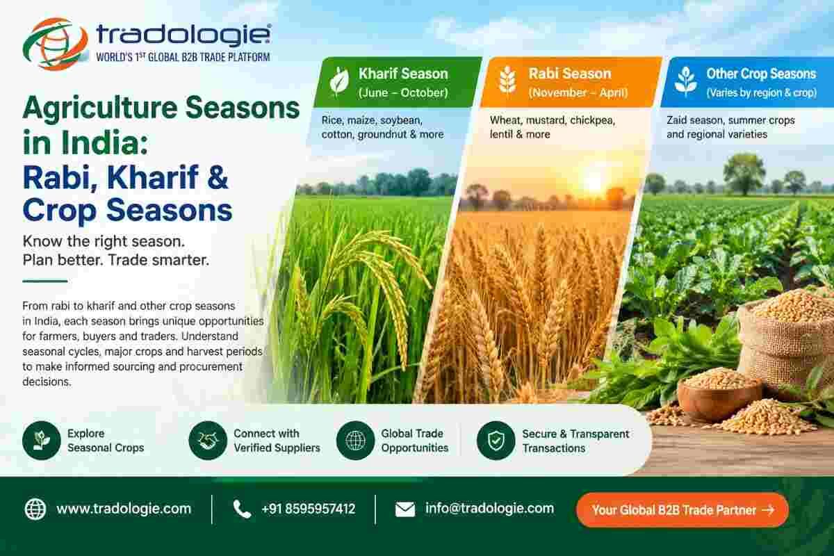 Lucknow, Food, INR 25,  Agriculture Seasons In India: Rabi, Kharif & Crop Seasons