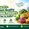 Premium Quality Vegetable Powders Exporter In India