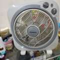 SAR 50,  Fan, Aluminum Almaree, TP Link