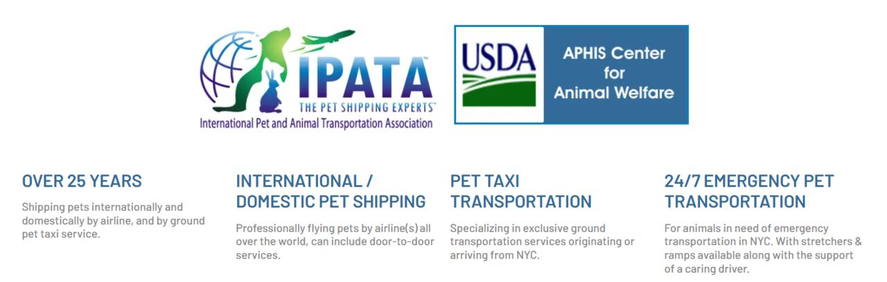 New York, Passenger Transport, Plan Your Pet&rsquo;s Overseas Trip With Pet Chauffeur