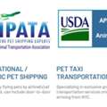 Plan Your Pet&rsquo;s Overseas Trip With Pet Chauffeur