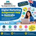 Expert Digital Marketing Assignment Help For Students