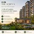 INR 110000000,  4 BR,  4200 Sq. Feet,  DLF Aureva Sector 63 Gurgaon &ndash; 4 BHK Luxury Residences