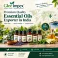 Essential Oil Exporter In India – Glee Impex