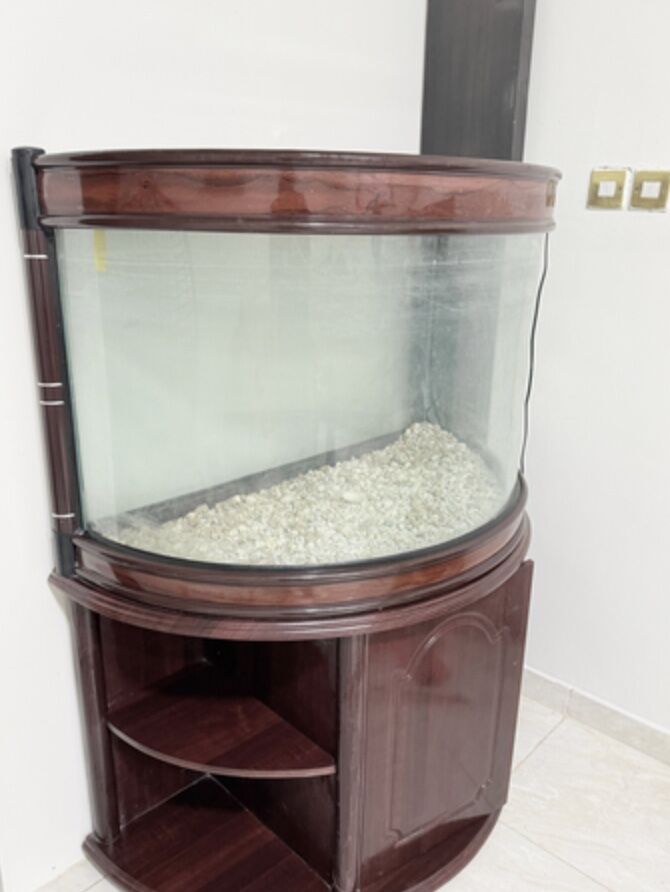 Al Rawdah, Household Items, SAR 450,  Aquariam