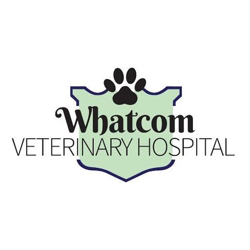 New York, Health, Whatcom Veterinary Hospital