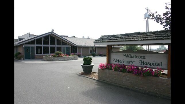 New York, Health, Whatcom Veterinary Hospital