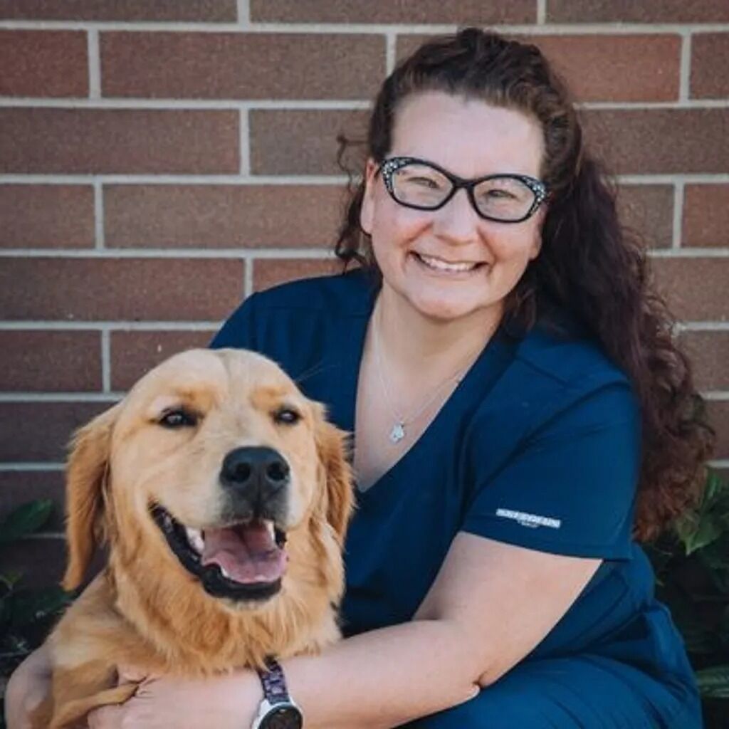 New York, Health, Whatcom Veterinary Hospital