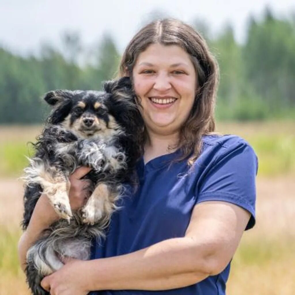 New York, Health, Whatcom Veterinary Hospital