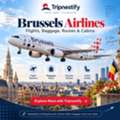 Brussels Airlines: Flights, Baggage, Routes & Cabin Guide | Tripnestify