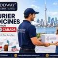Medicine Courier From India To Canada: Compliance And Import Needs - Oddway
