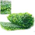 Artificial Plants & Greenery Solutions In India | Afloraa
