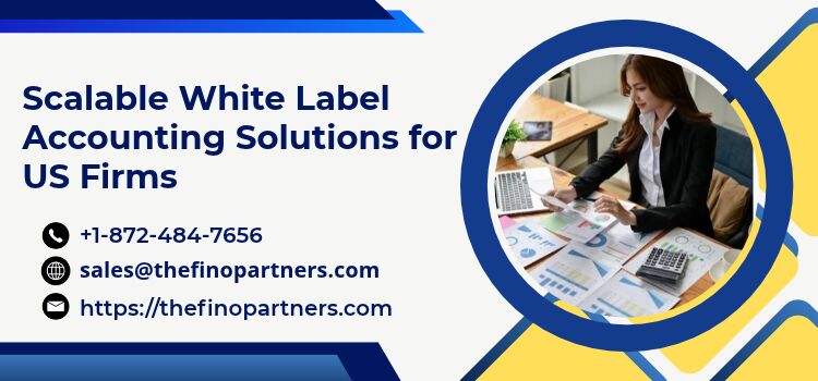 Chicago, Accounting, Scalable White Label Accounting Solutions For US Firms