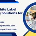 Scalable White Label Accounting Solutions For US Firms