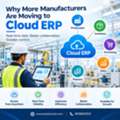 INR 200000,  Manufacturing ERP Software For Streamlined Business Operations