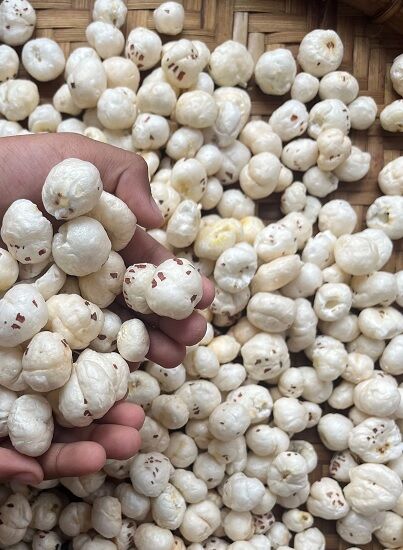 Mumbai, Food, Makhana Wholesalers In Maharashtra