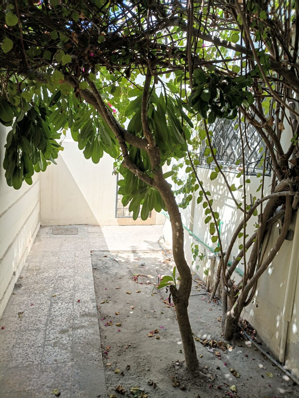 Manama, Villas, BHD 450,  5BR Unfurnished Private Villa For Rent In Salahiya