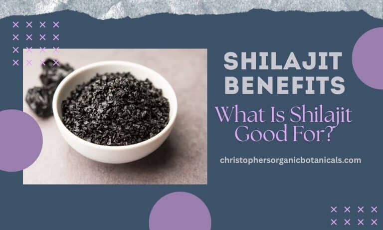 New York, Food, USD 50,  Shilajit Benefits - What Is Shilajit Good For?