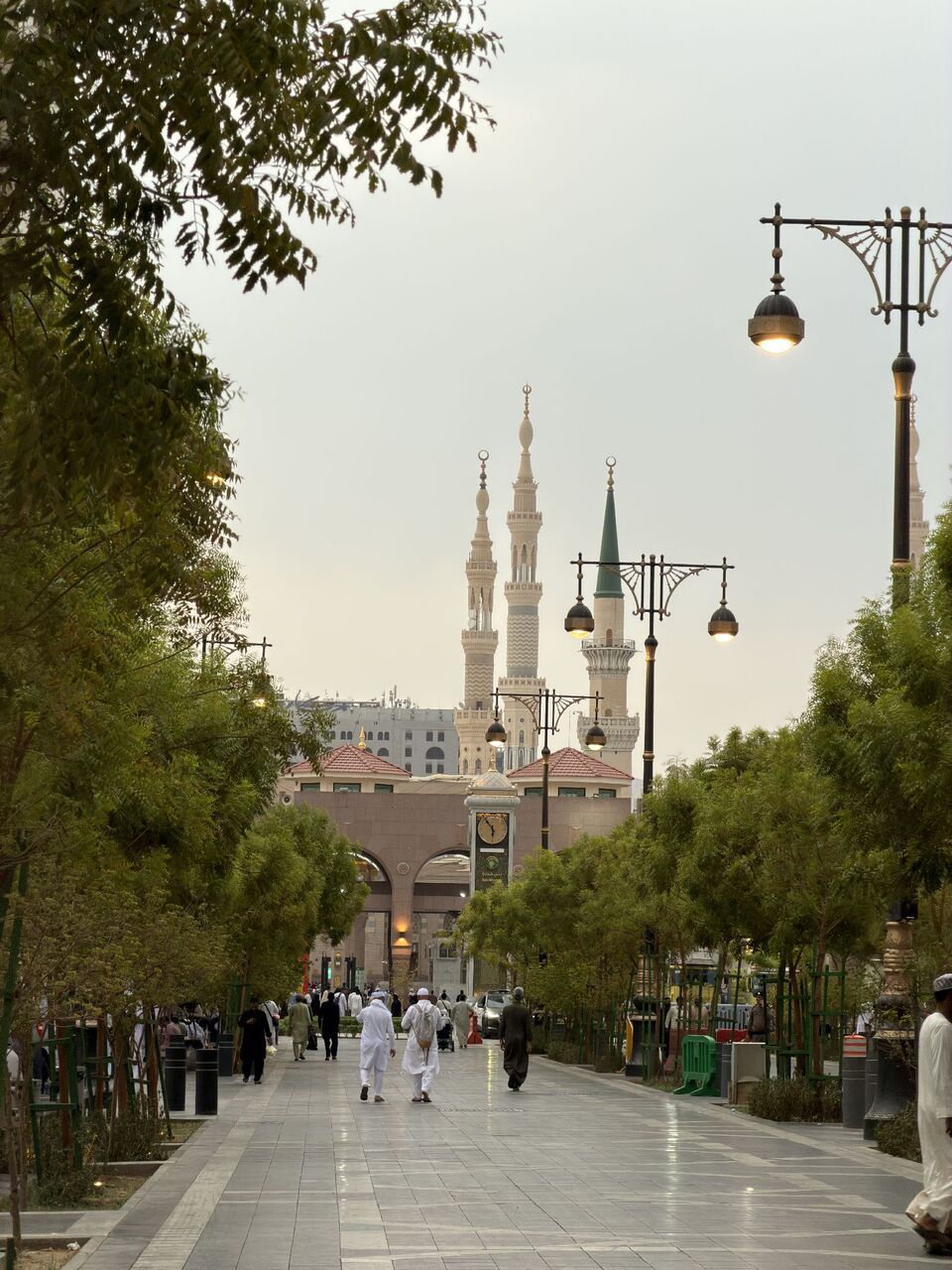 Madinah, Jobs, We Are Hire Professional Waiter & Customer Service Boy