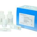 Buy DNA Fragmentation Kit