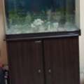 BHD 20,  Camry Aquarium