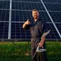 Protecting Solar Panels From Pigeons And Bird Damage