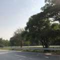 THB 1800000,  6 BR,  1340 Sq. Feet,  ที่ดินบ้านให้เช่าและขายราคาดี  ท