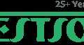 Nestsoft TechnoMaster - IT & Digital Marketing Courses