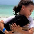 A Memorable Island Adventure With Pigs In The Bahamas Swimming