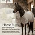 Premium Horse Rugs For Everyday Protection & Comfort
